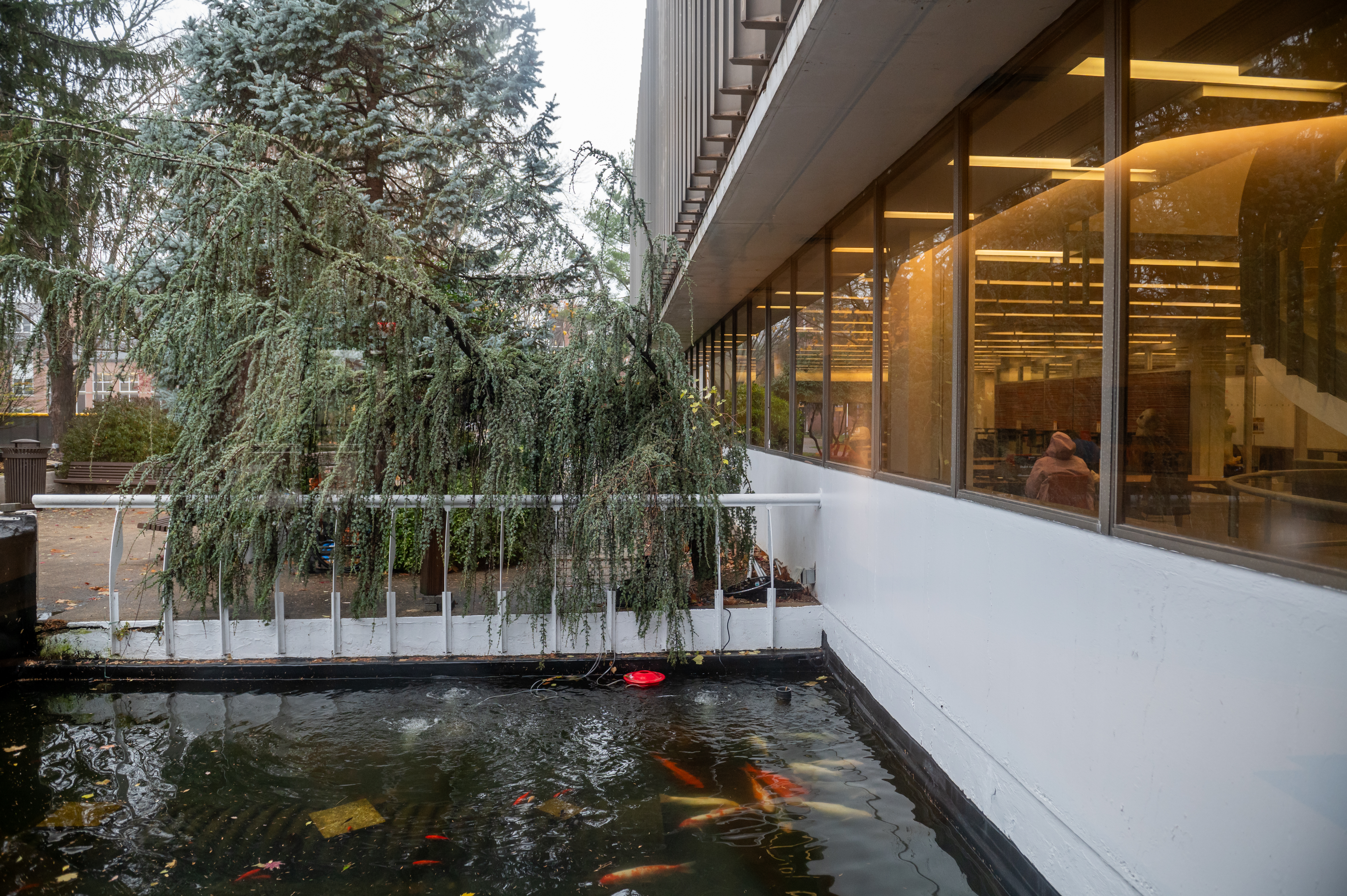 Surviving a Stressful Semester on Campus