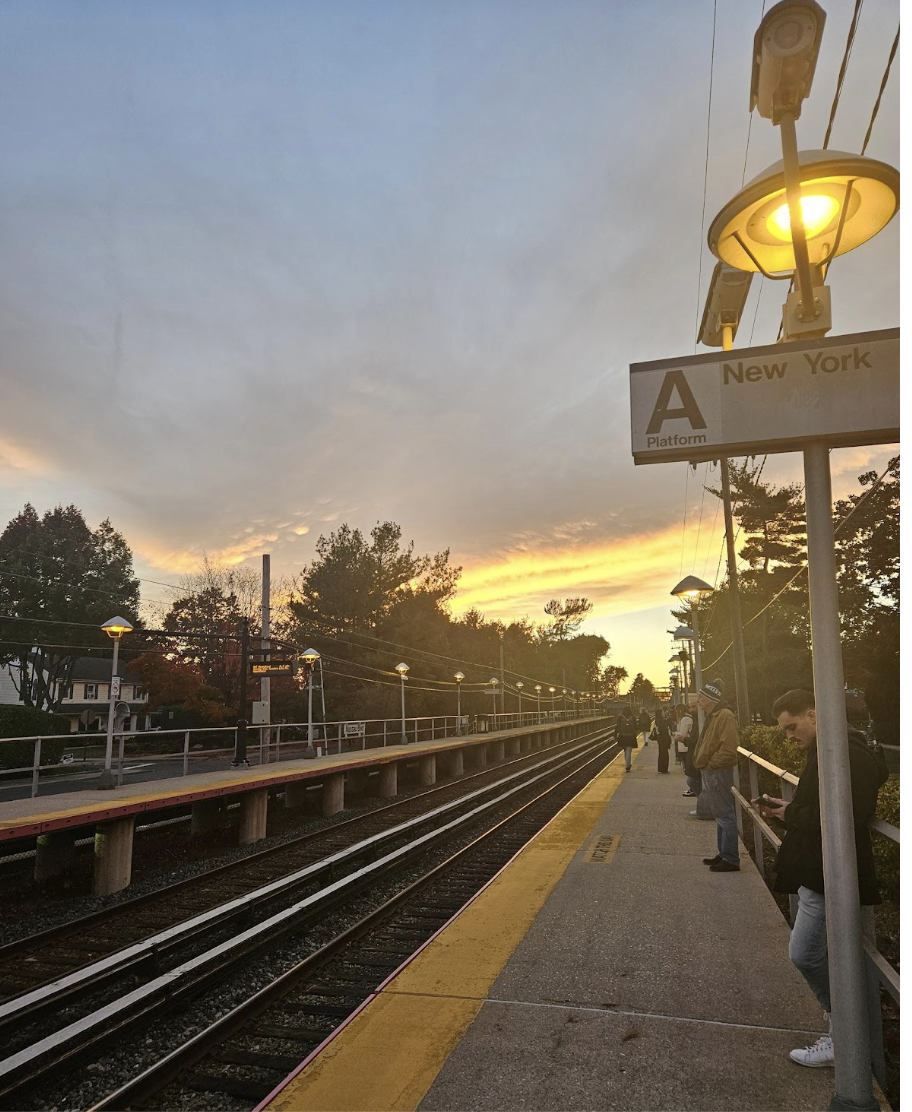 NYC Mayoral Race Also Affects Adelphi’s Community