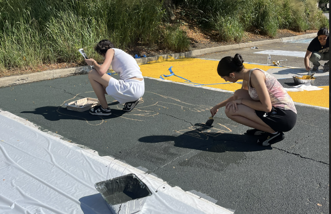 Spirit Spot Showdown: A New Tradition at Adelphi