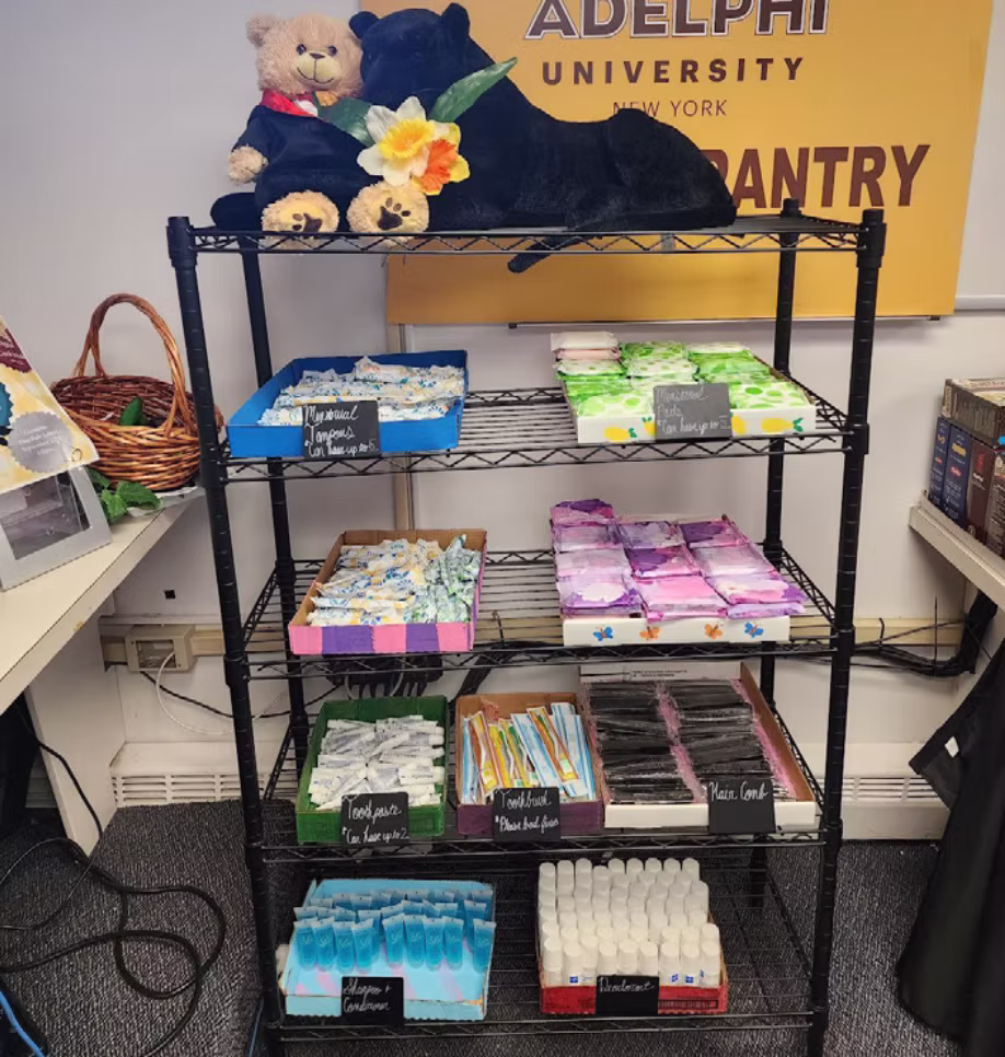 A Move to Change the Cycle to Gain Access to Free Menstrual Products on Campus