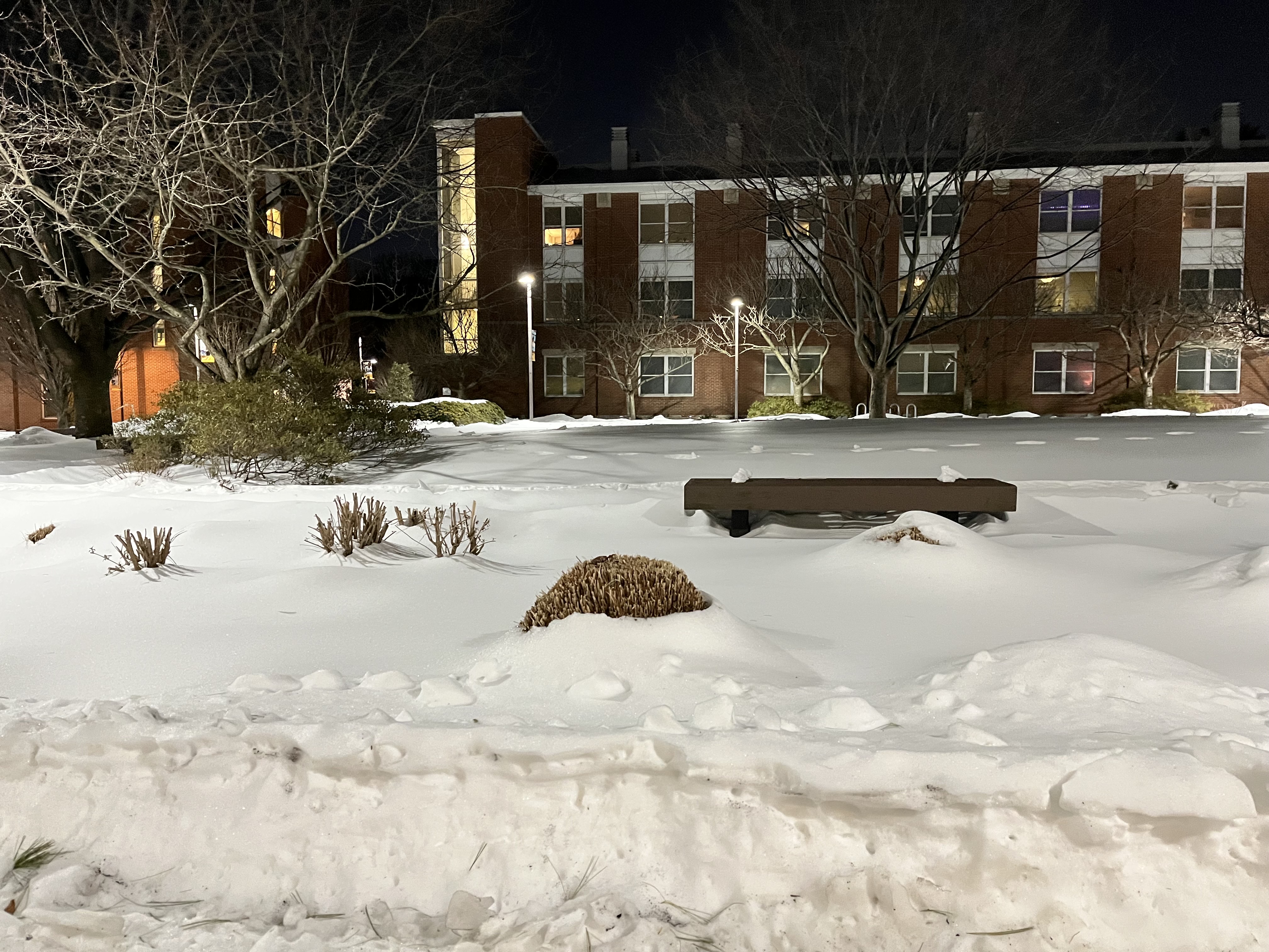 Winter Storm Gallery
